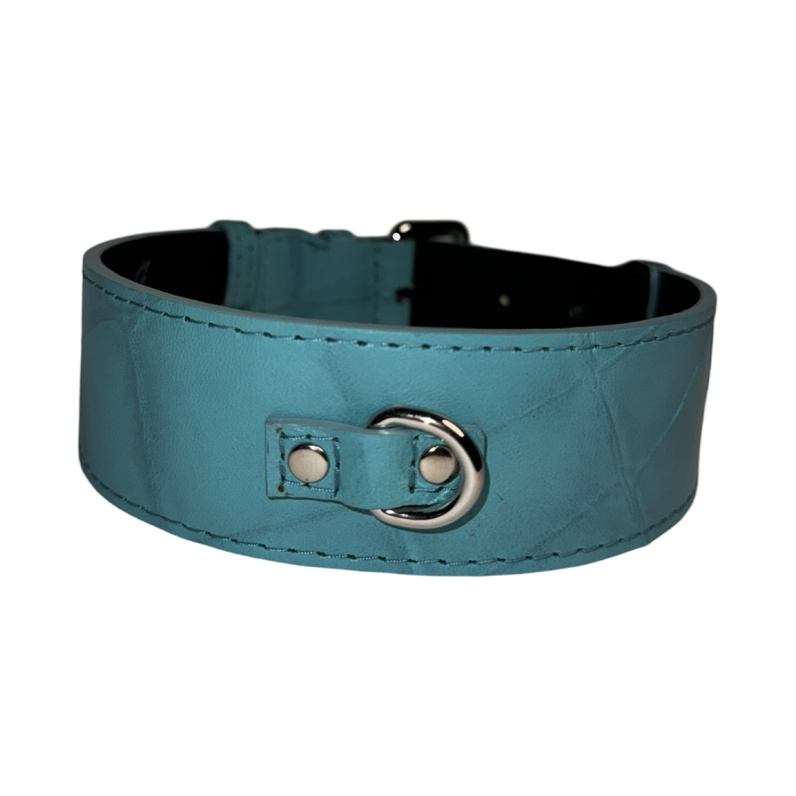Allysa Payne The Tiffany Collection Turquoise Blue Embossed Croc Italian Leather Dog Collar, With Our Classic Silver Hardware