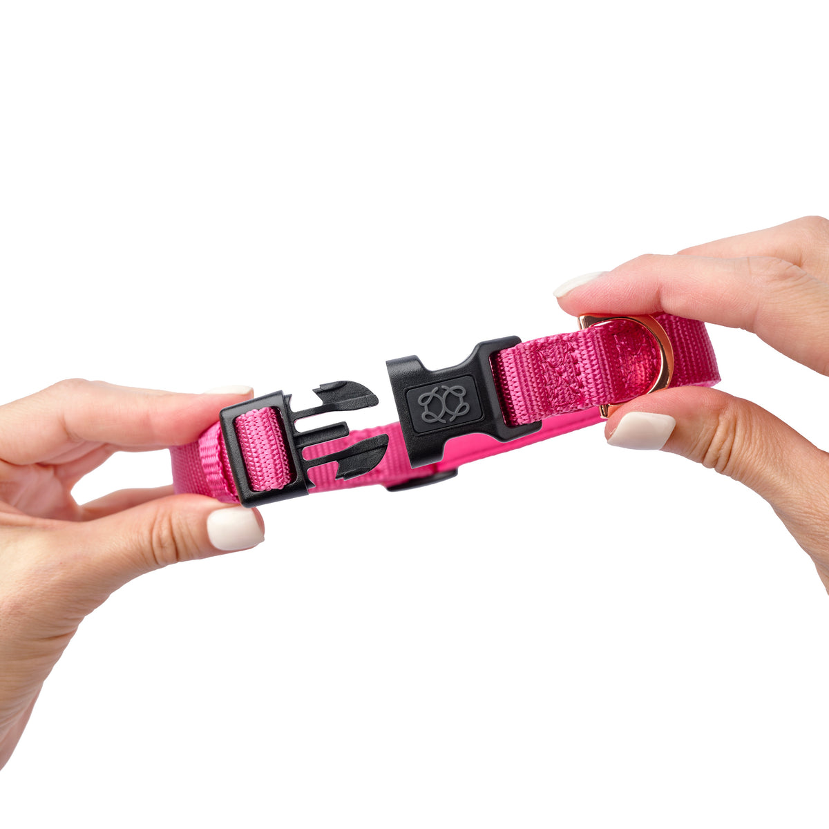 DOGISTRY City Dog Collar - Park Ave Pink