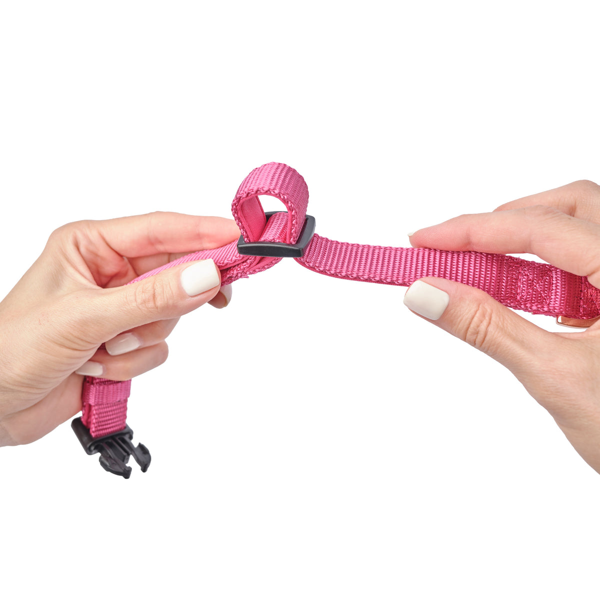 DOGISTRY City Dog Collar - Park Ave Pink