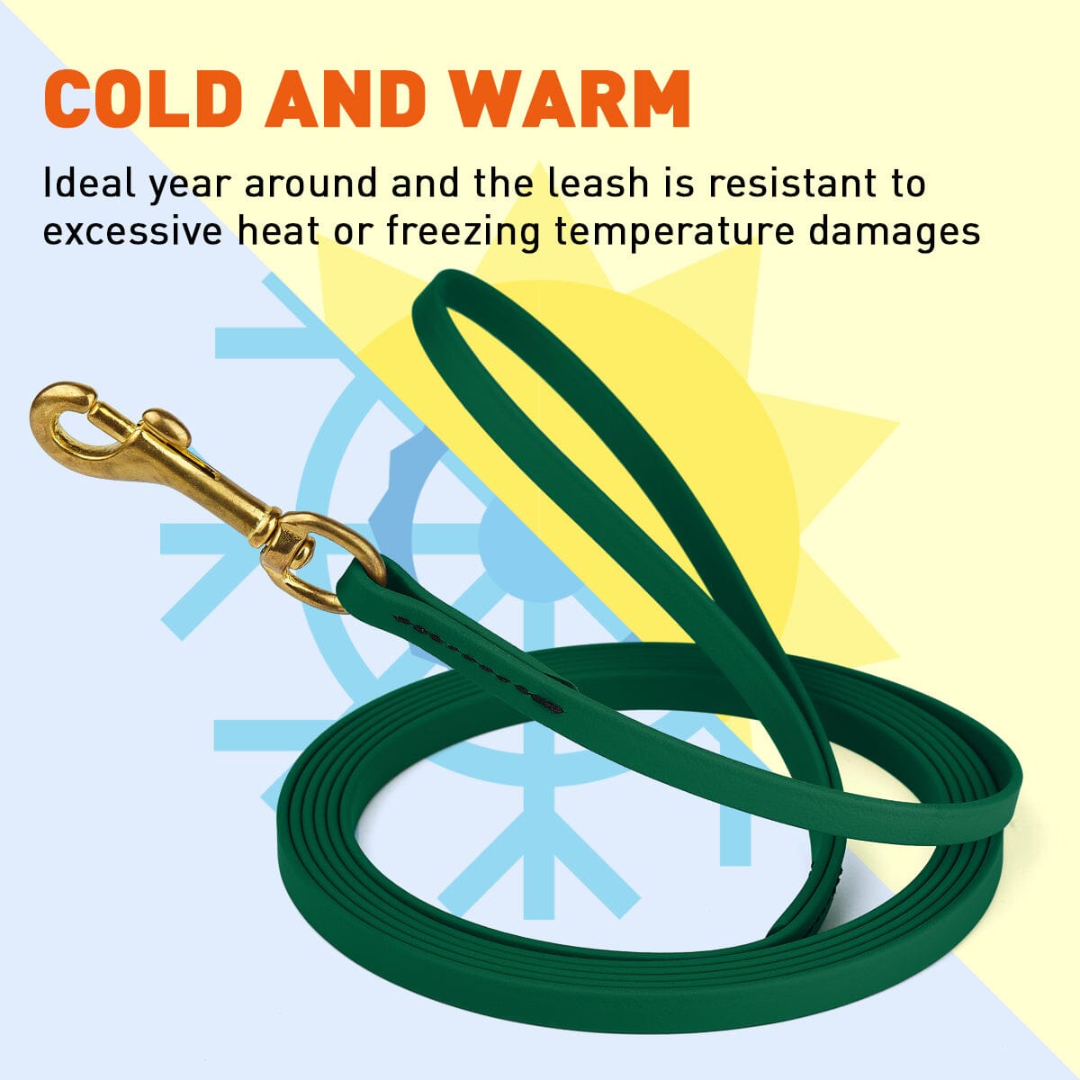 Viper BioThane Long Line 10 ft Dog Lead with Brass Hardware