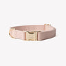 Powder Rose - Canvas Dog Collar