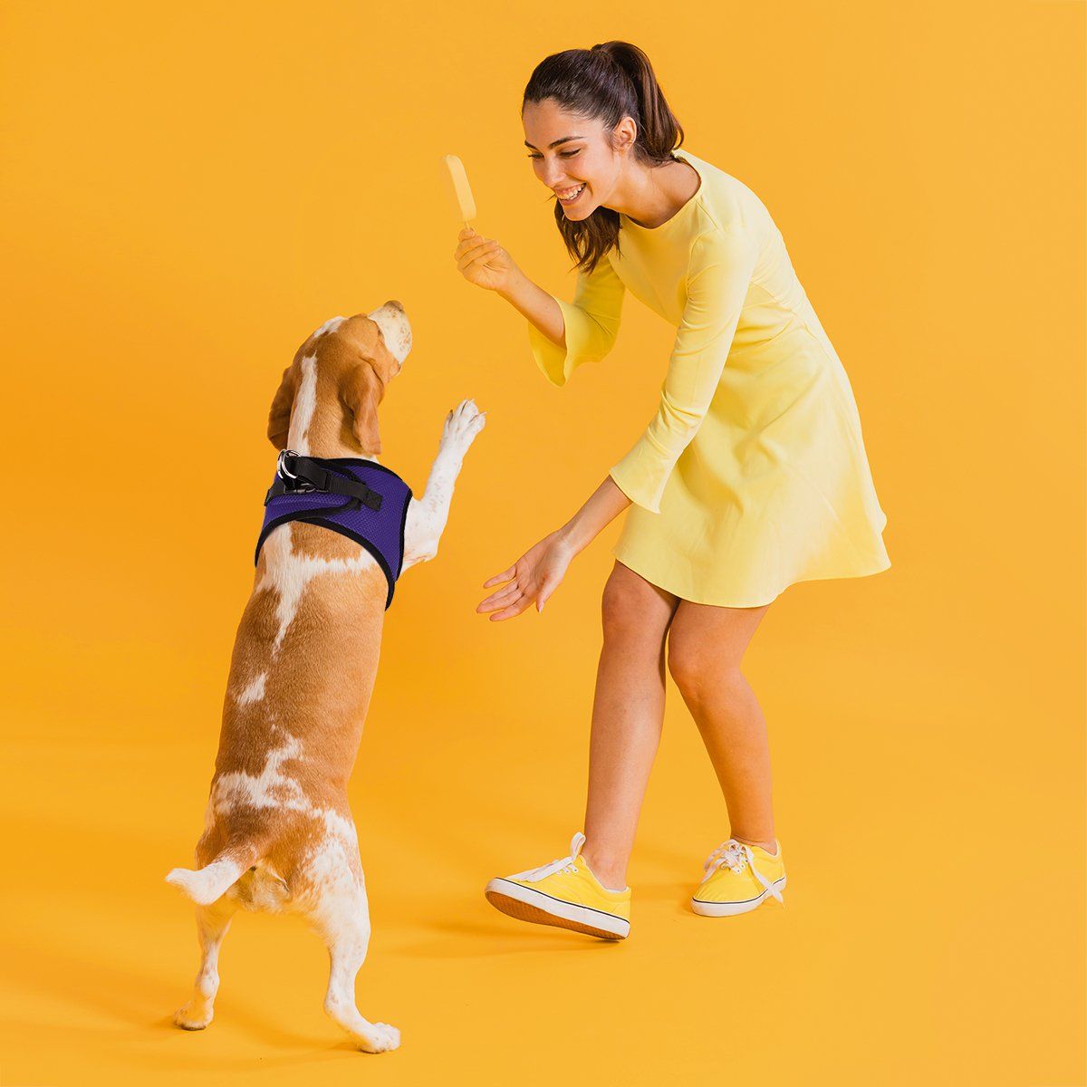 Dogline York Mesh Dog Harness