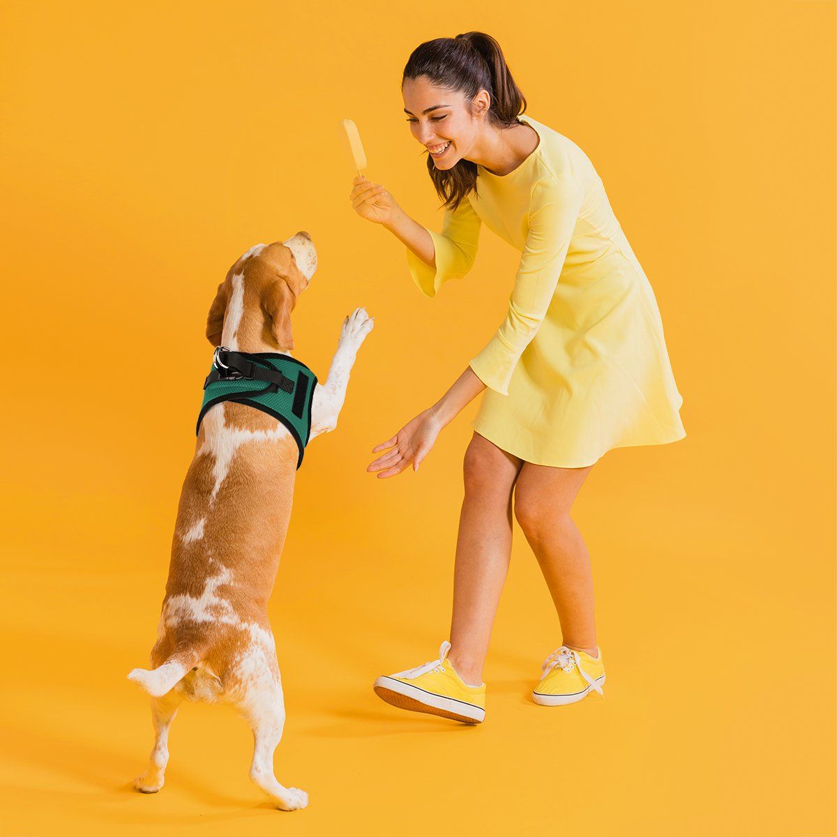 Dogline York Mesh Harness with Built-In Hook & Loop Fasteners