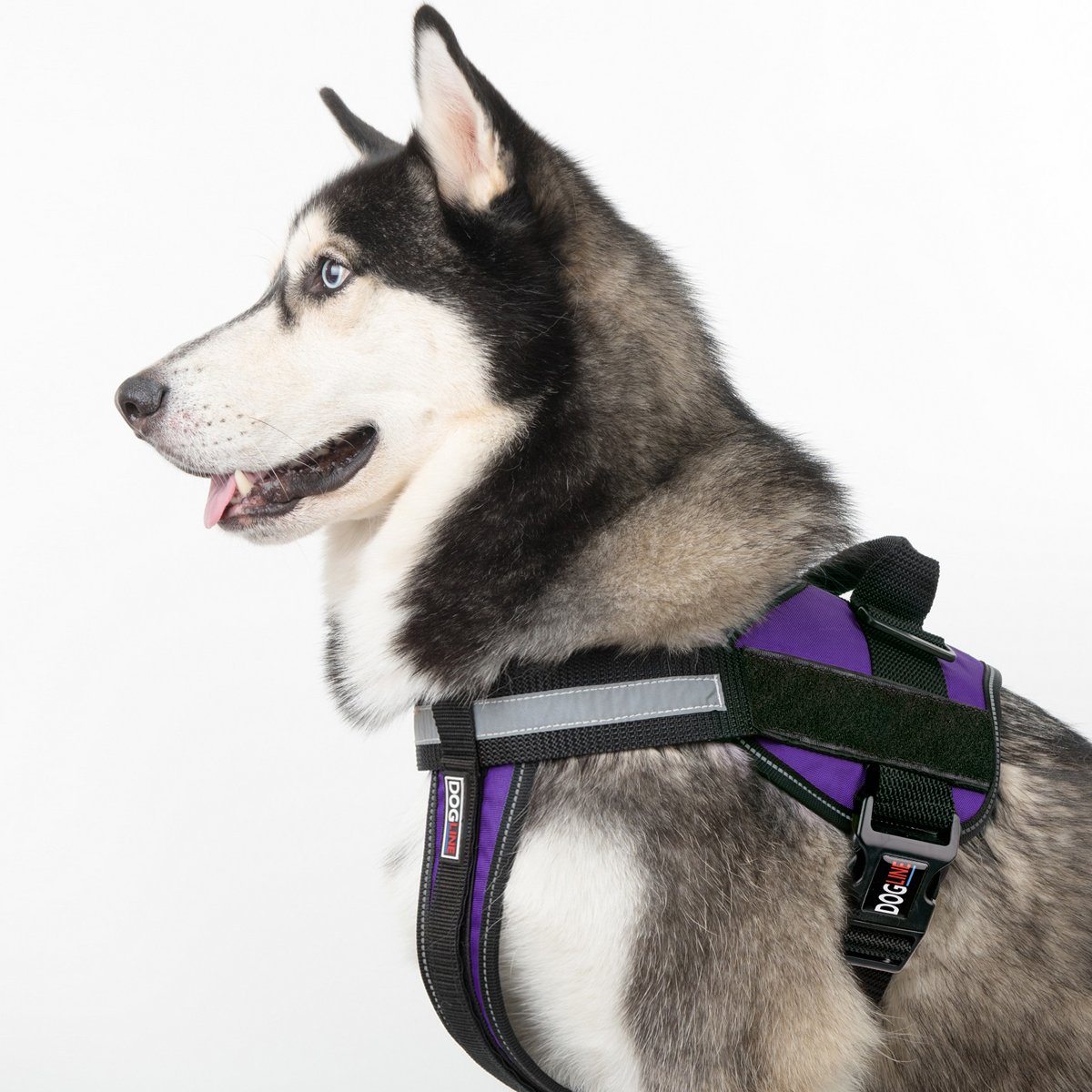 Dogline Unimax Multi-Purpose Dog Harness