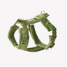 Green - Velvet Dog Harness