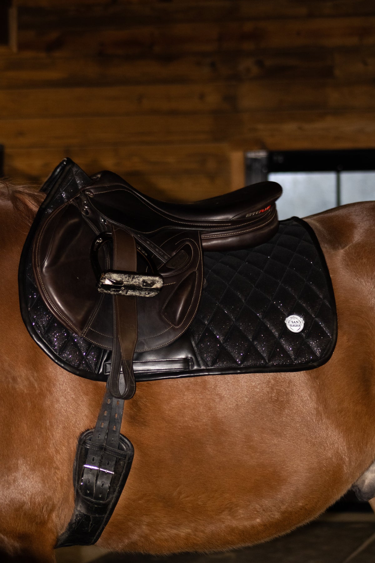 San Eligius Black Ice jump saddle pad with black leather piping, flat lay front view