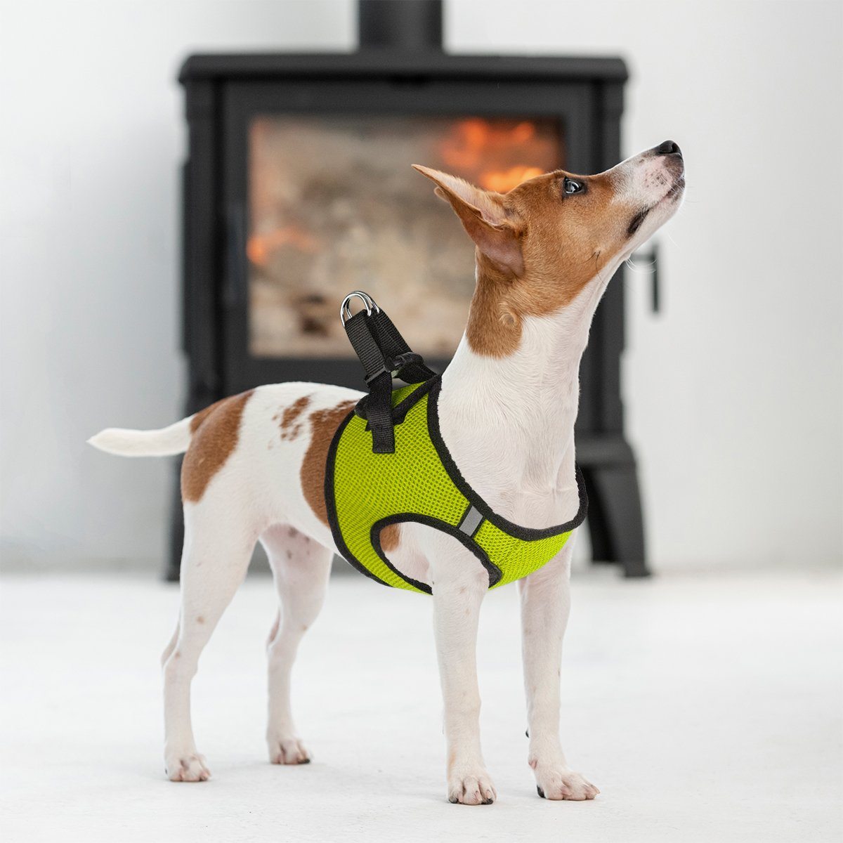 Dogline York Mesh Dog Harness