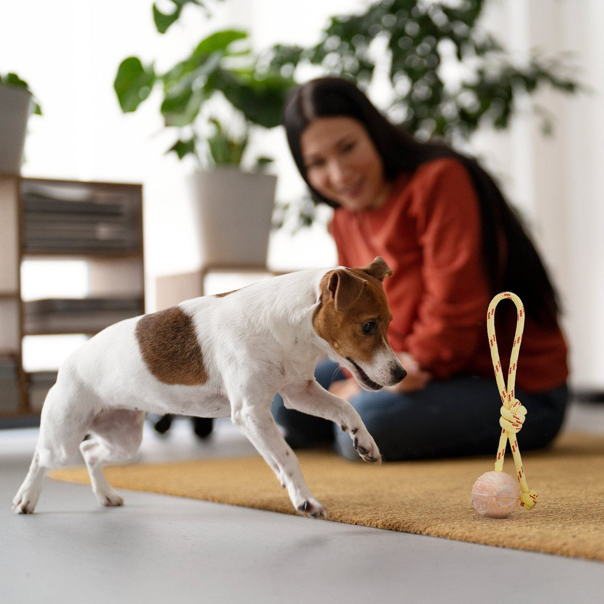 FDT Rubber Dog Ball on Rope, Small - Diameter 2-Inch (5 cm)