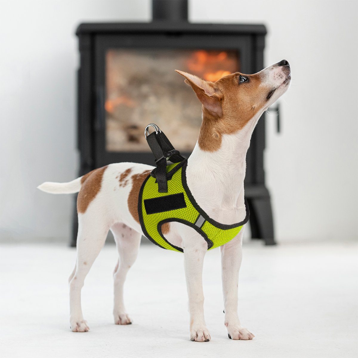 Dogline York Mesh Harness with Built-In Hook & Loop Fasteners