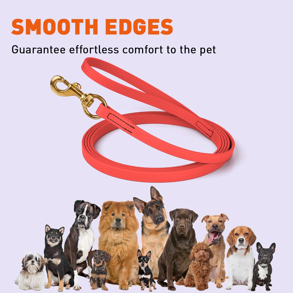 Viper BioThane Long Line 20 ft Dog Lead with Brass Hardware