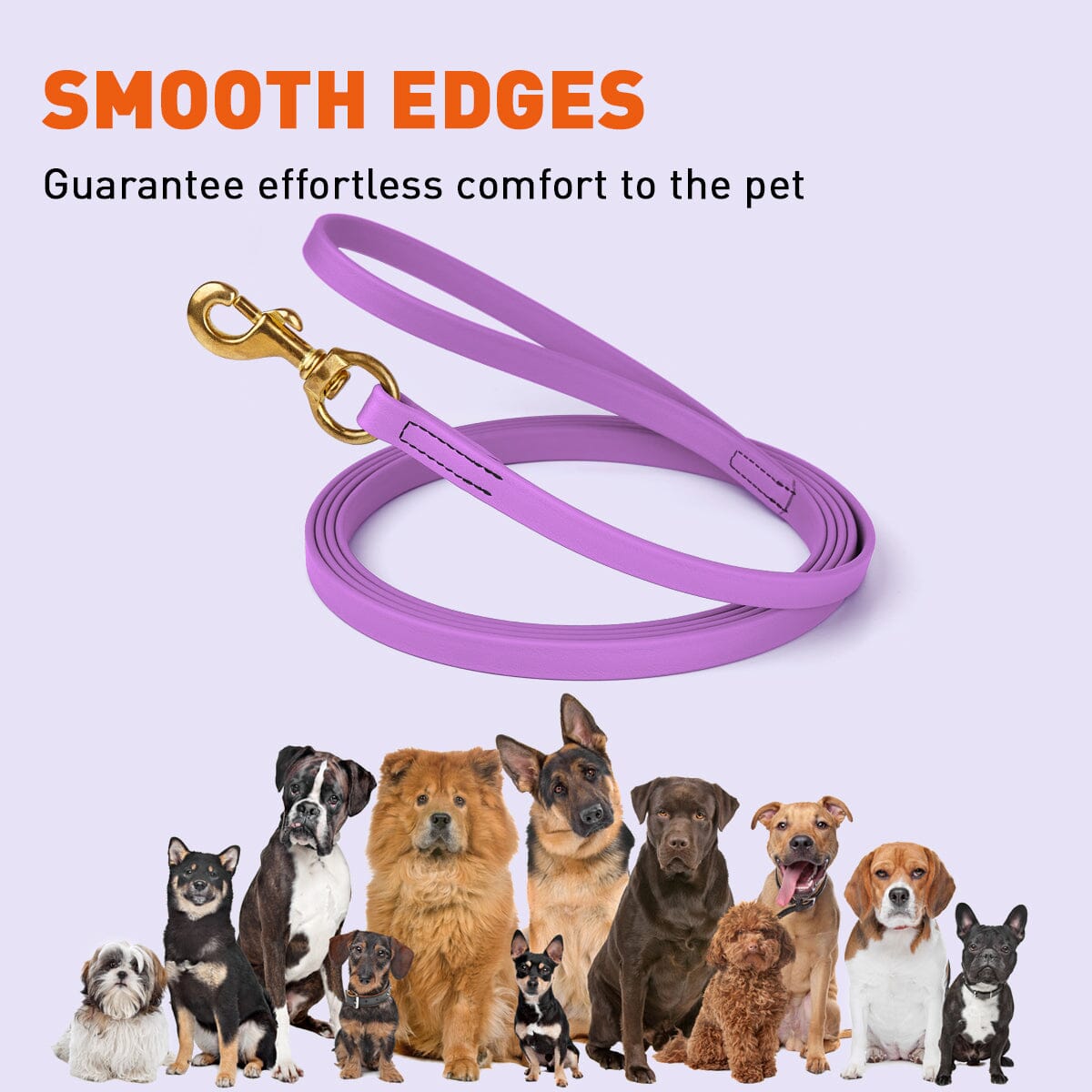 Viper BioThane Long Line 10 ft Dog Lead with Brass Hardware