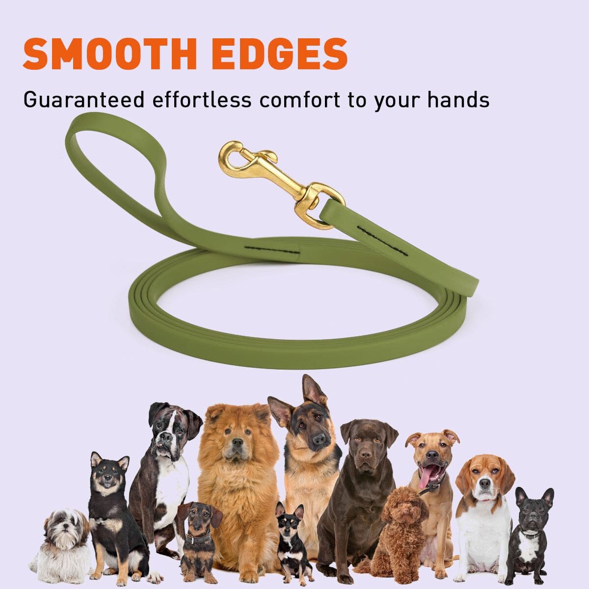 Viper BioThane Long Line 33 ft Dog Lead with Brass Hardware