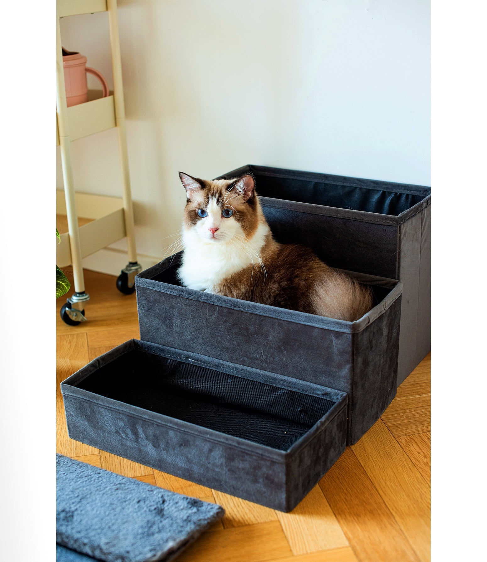 Catry Charcoal 2-in-1 Foldable Pet Stairs