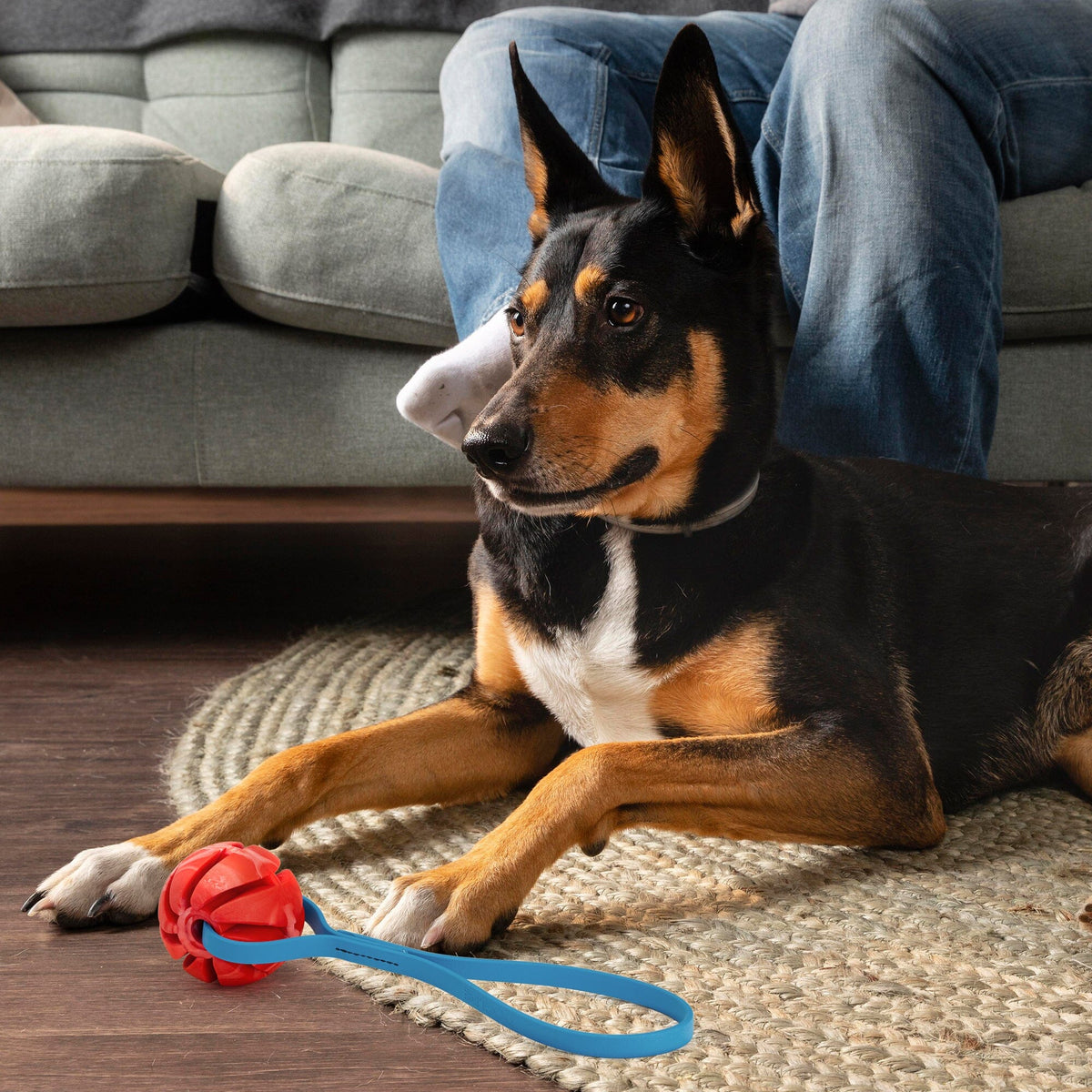 Dogline Rubber Spiral Ball with BioThane Handle