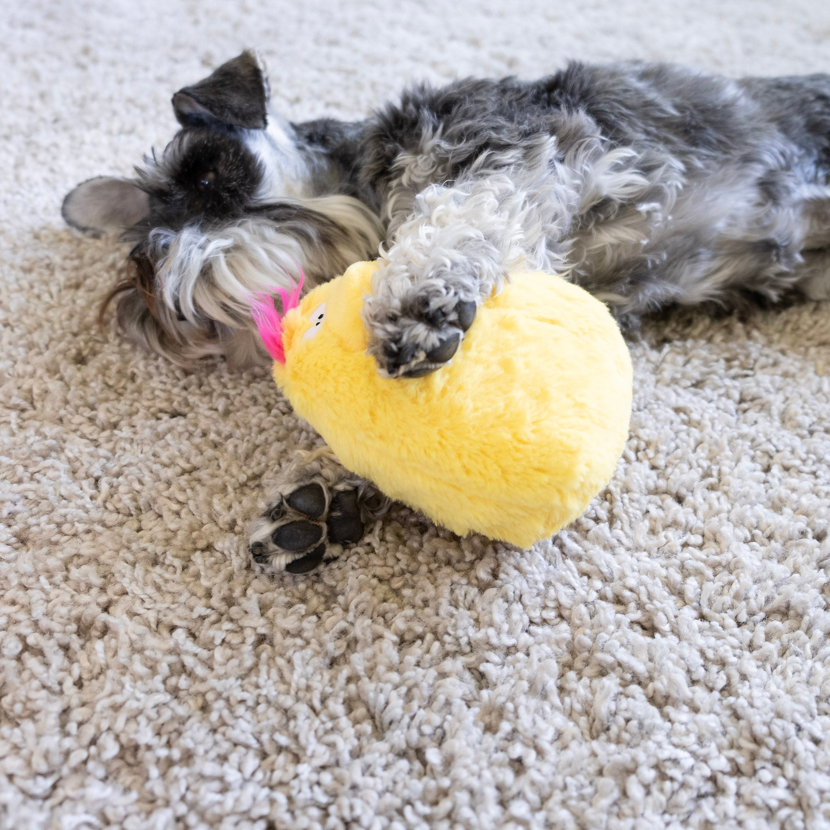 Gumdropimalz: Fun Dog Toy Grunters by DogGoods ™