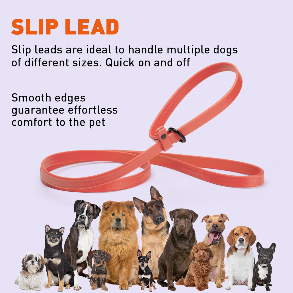 Dogline BioThane Slip Dog Lead for Dogs, 5FT and 7FT