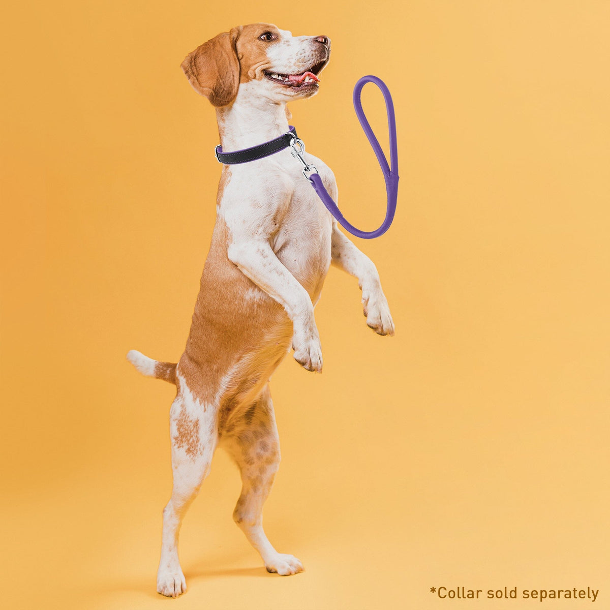 Dogline Soft Leather Round Traffic Dog Lead
