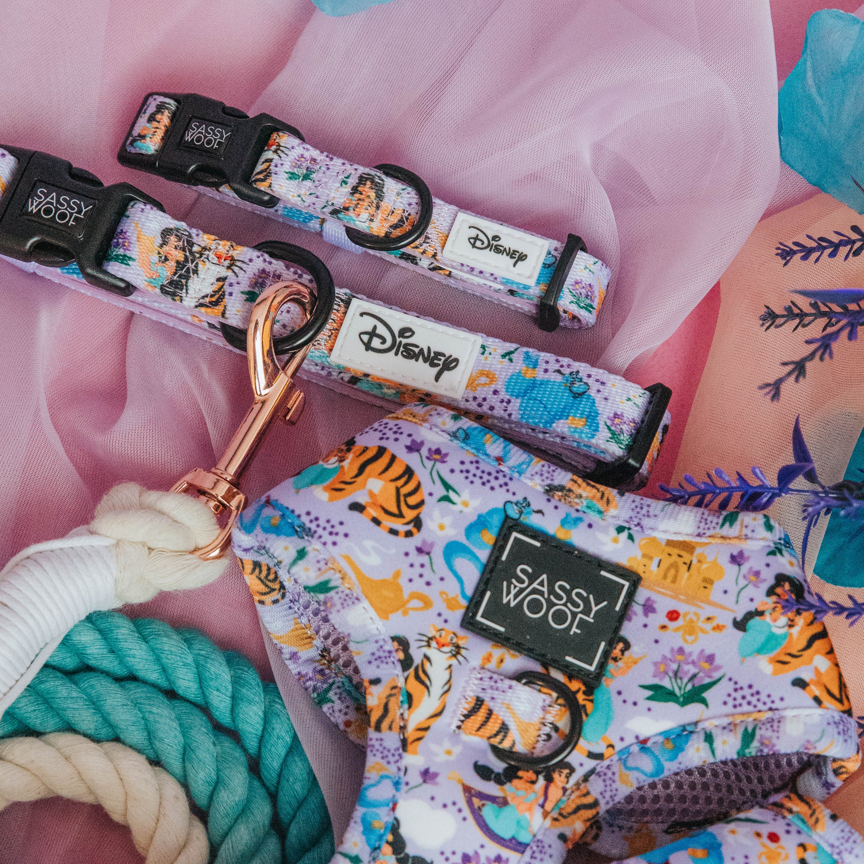 Dog Collar - Disneys Jasmine