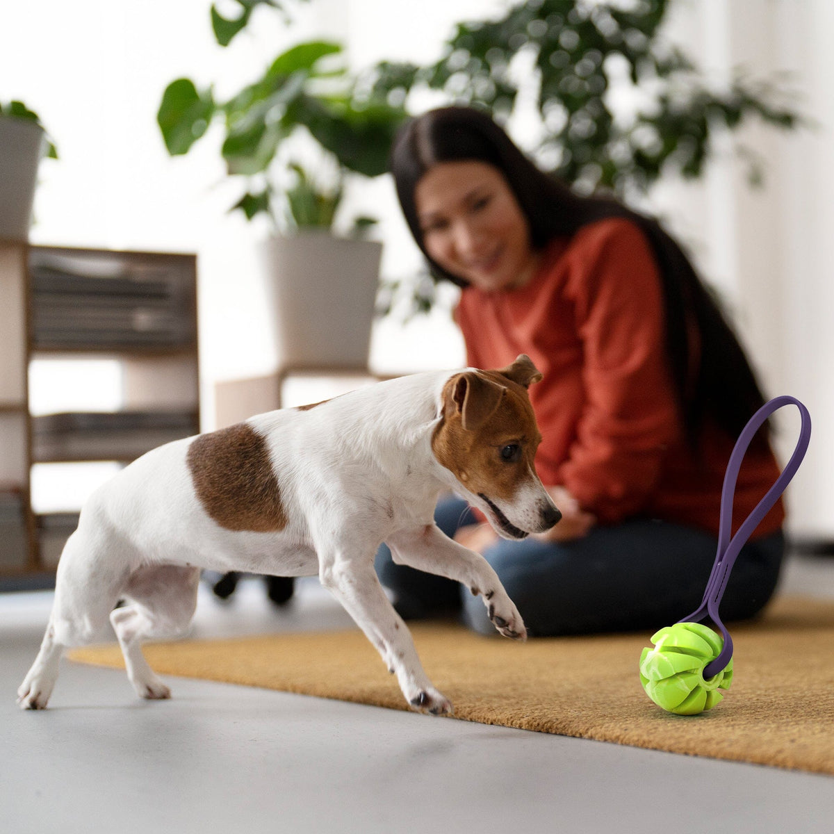 Dogline Rubber Spiral Ball with BioThane Handle
