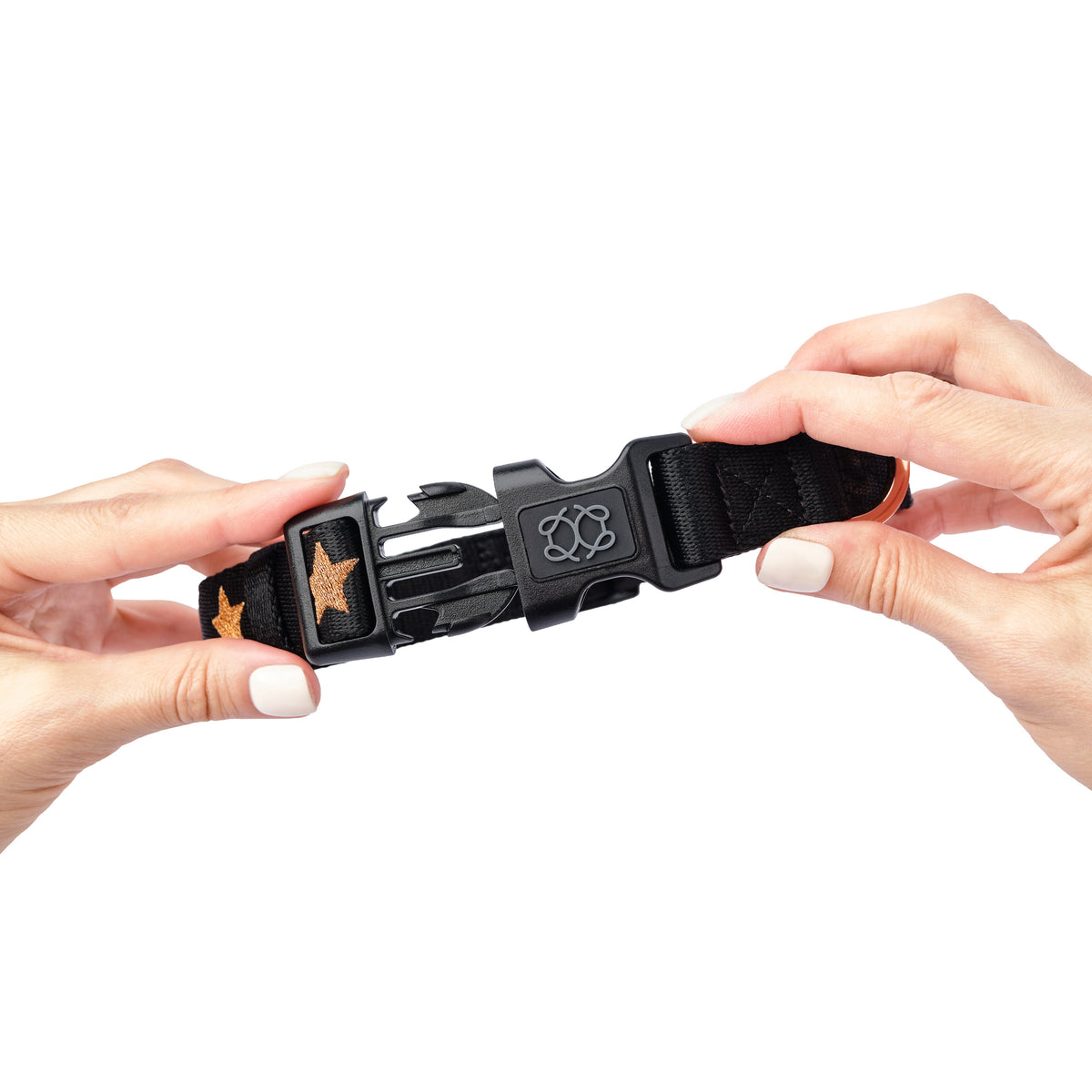 DOGISTRY City Dog Collar - Rockstar