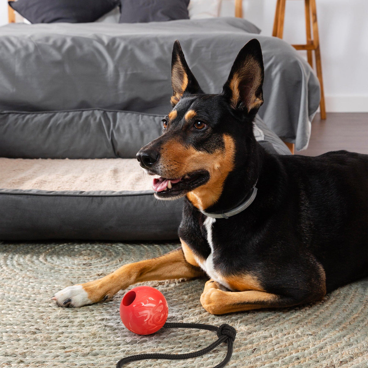 Dogline Rubber Euro Ball with Rope