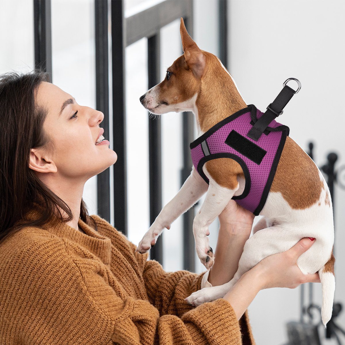 Dogline York Mesh Harness with Built-In Hook & Loop Fasteners