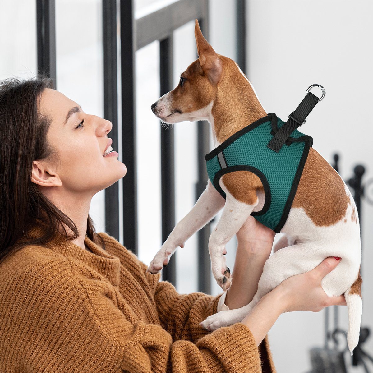 Dogline York Mesh Dog Harness