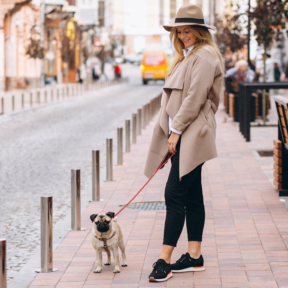 Dogline Soft Leather Round Dog Lead