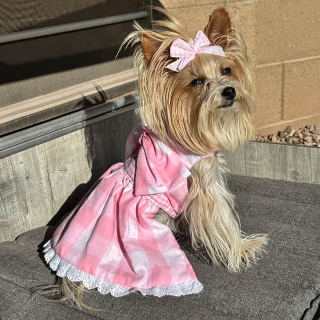 Heads or Tails Pup Gingham Picnic Dog Dress
