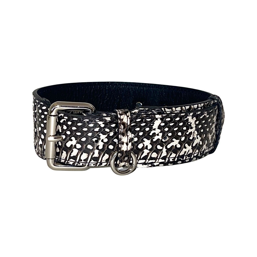 Allysa Payne Black & White Classic Snake Dog Collar