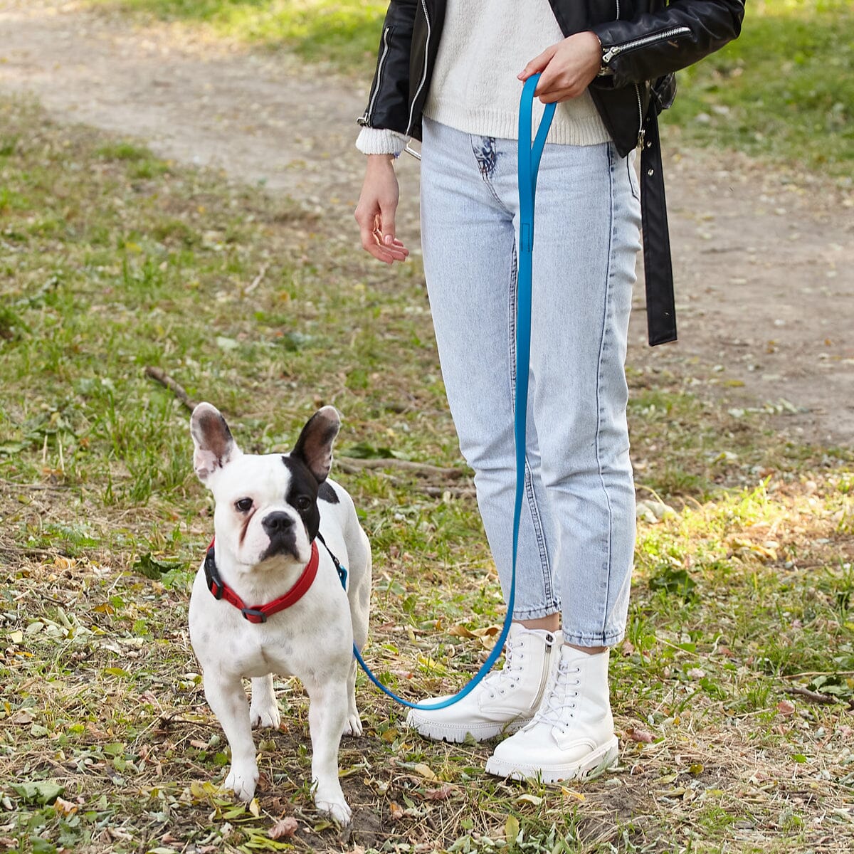 Dogline BioThane Waterproof Traffic Dog Lead for Dogs, 2 ft