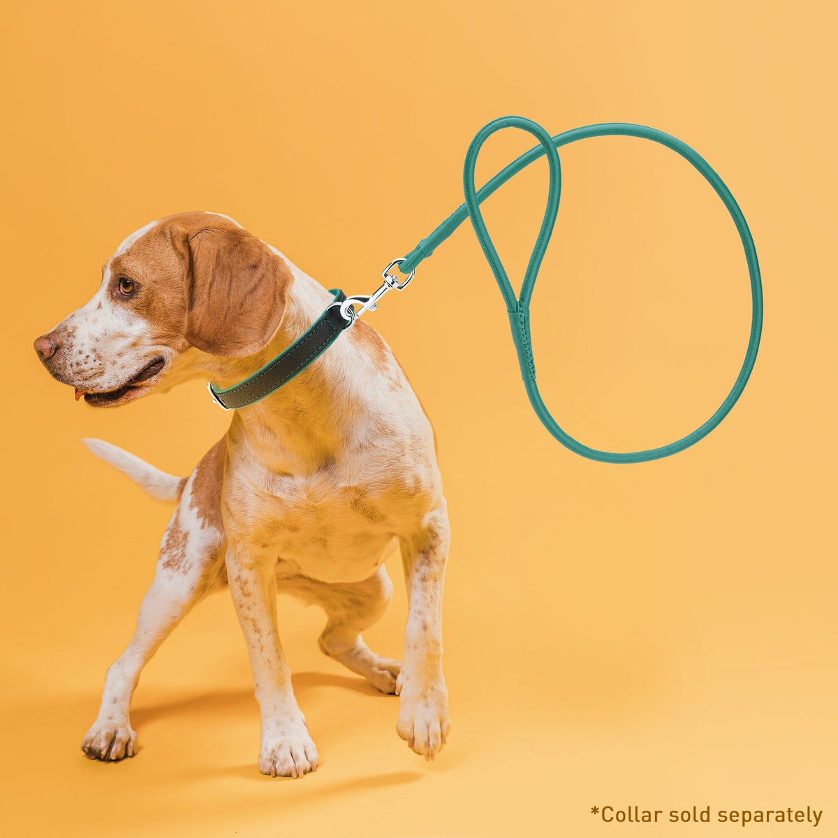 Dogline Soft Leather Round Dog Lead