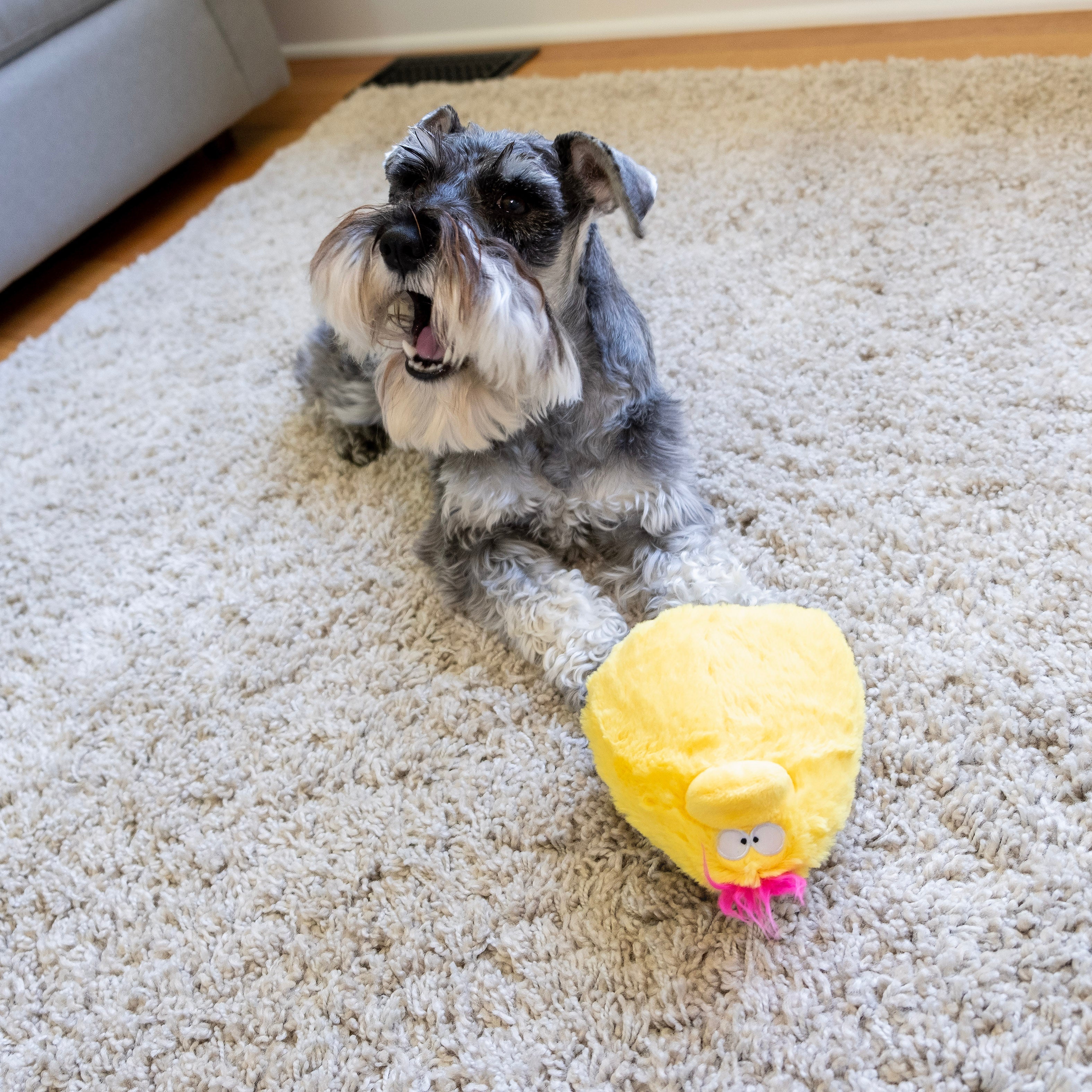 Gumdropimalz: Fun Dog Toy Grunters by DogGoods ™