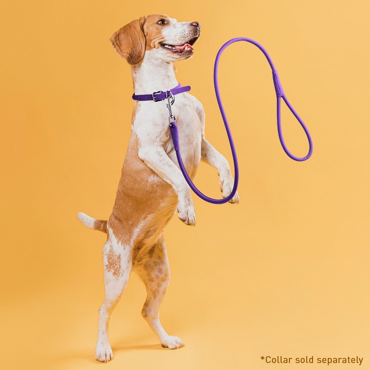 Dogline Soft Leather Round Dog Lead