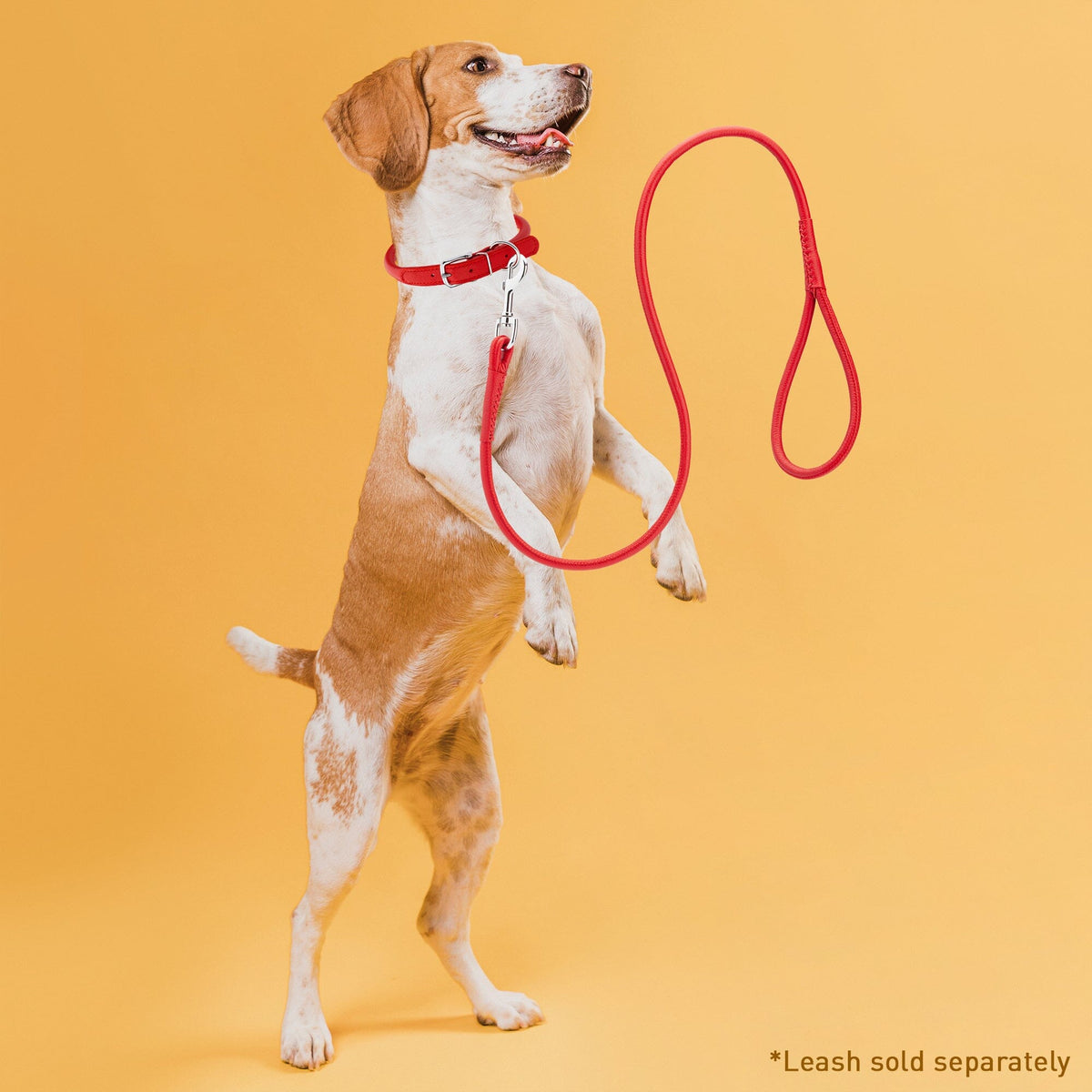 Dogline Soft Leather Round Dog Collar