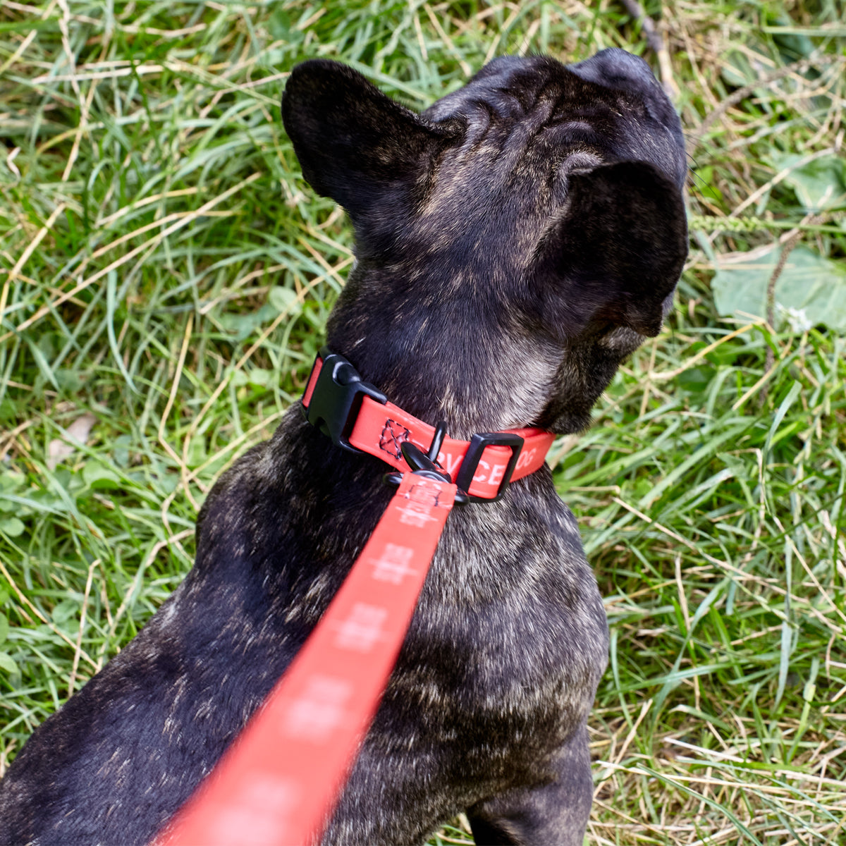 Dogline BioThane Service Dog Collar Or Leash