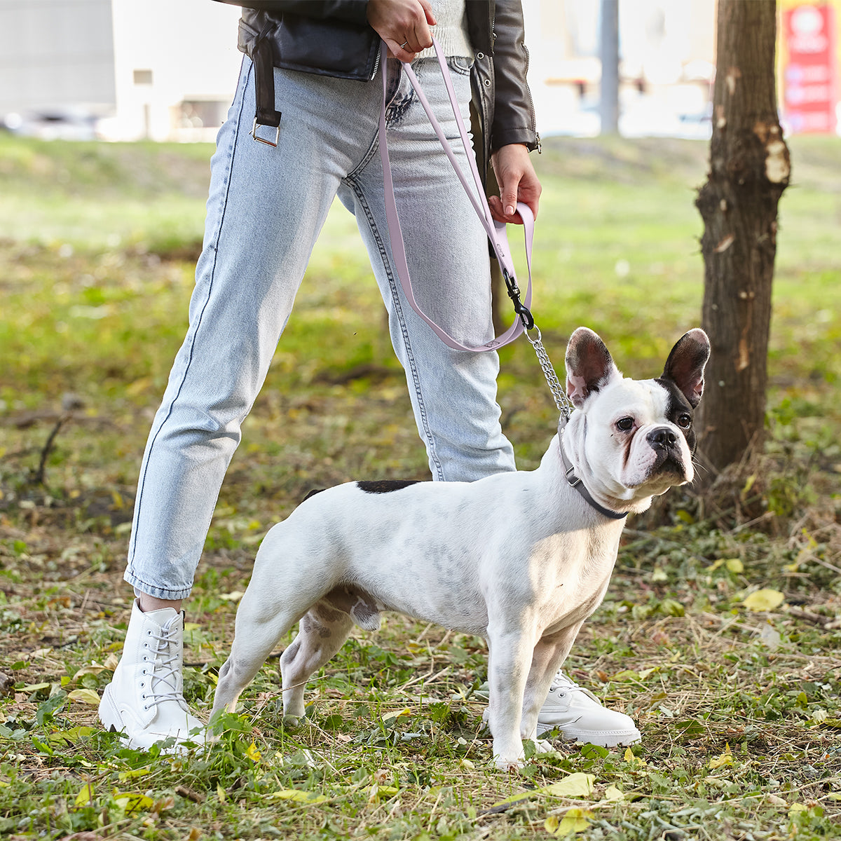 Dogline BioThane Waterproof Multi-Handle Dog Leash