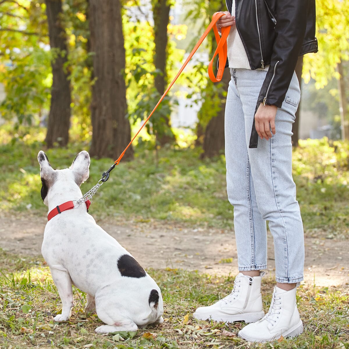 Dogline BioThane Waterproof Traffic Dog Lead for Dogs, 2 ft