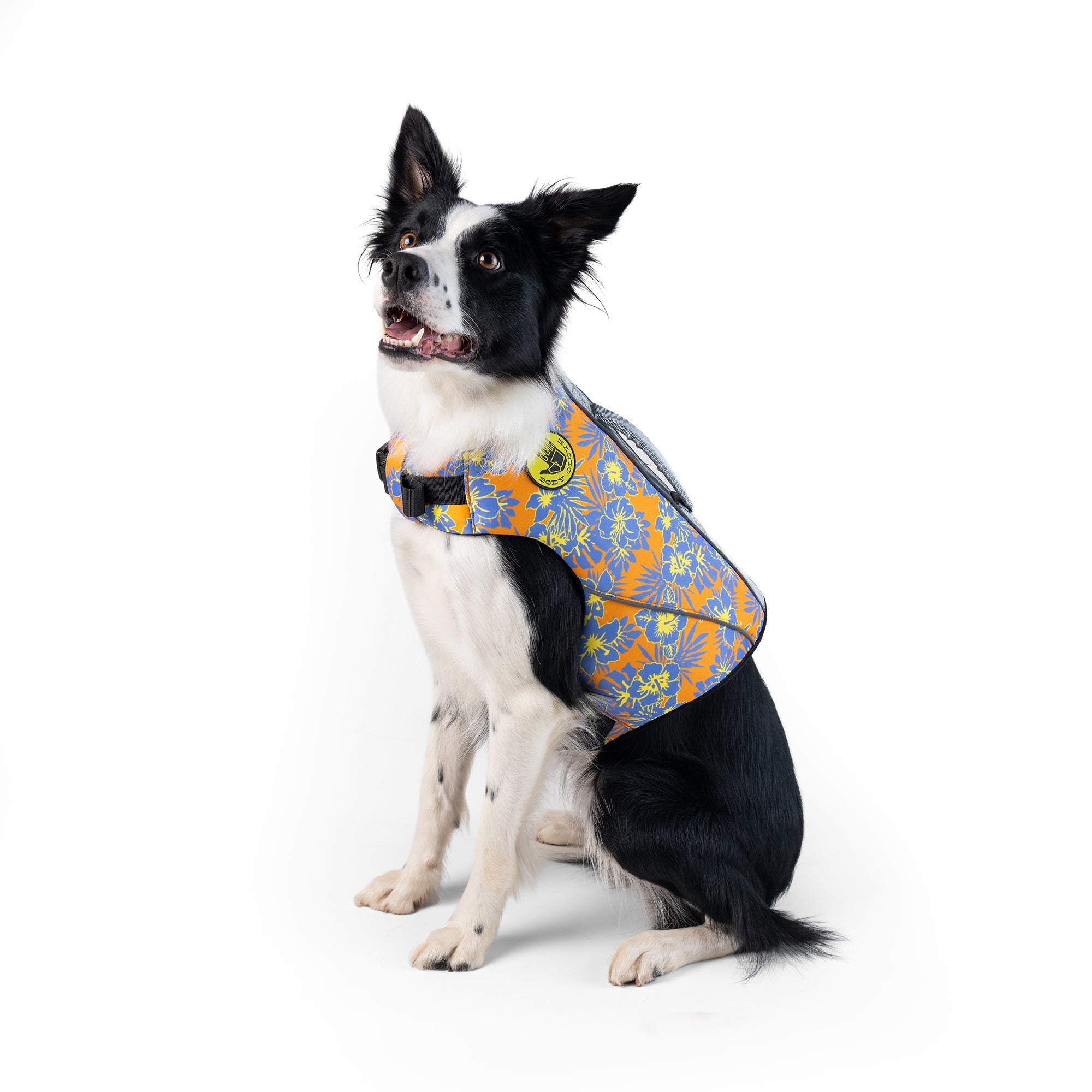 Body Glove Floral Neoprene Pet Life Jacket