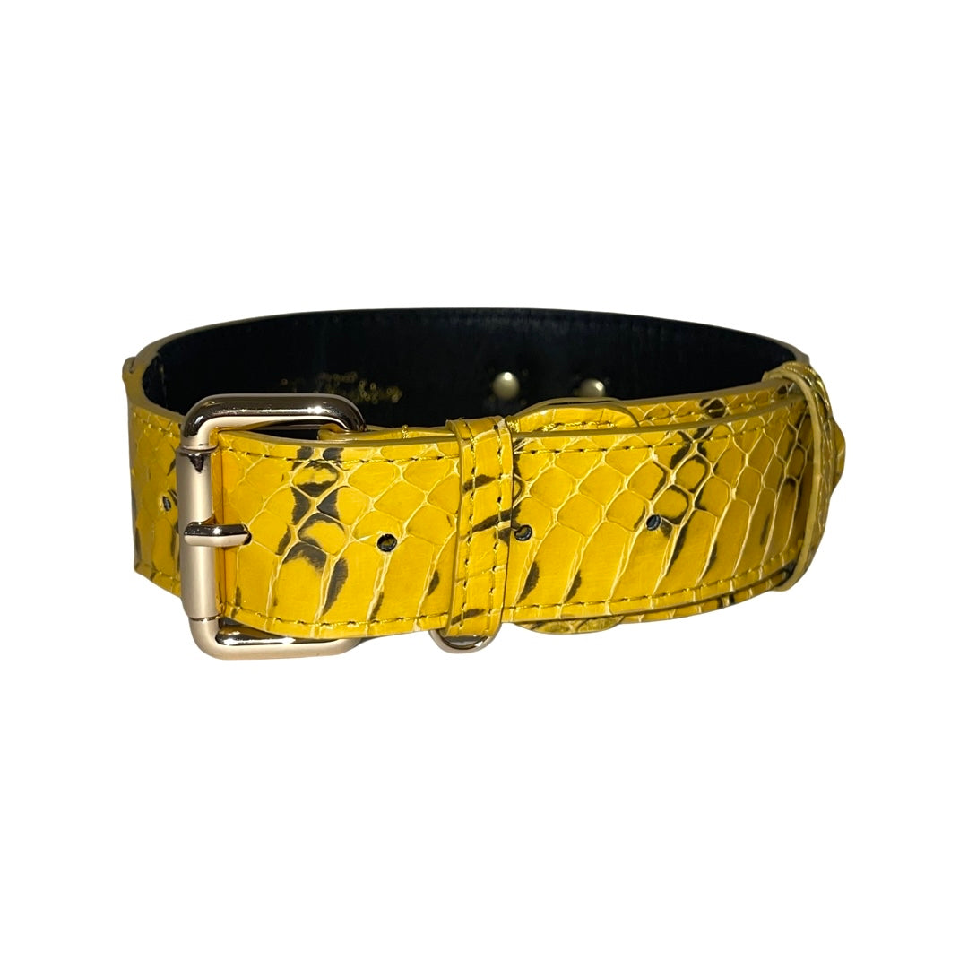 Allysa Payne Mustard Yellow & Black Snake Classic Dog Collar