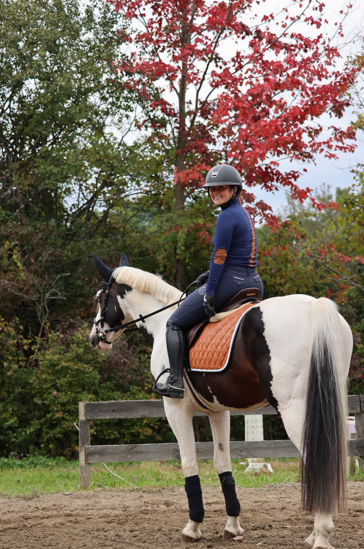 San Eligius cognac quilted jump saddle pad with white and black crocodile piping, angled view on horse