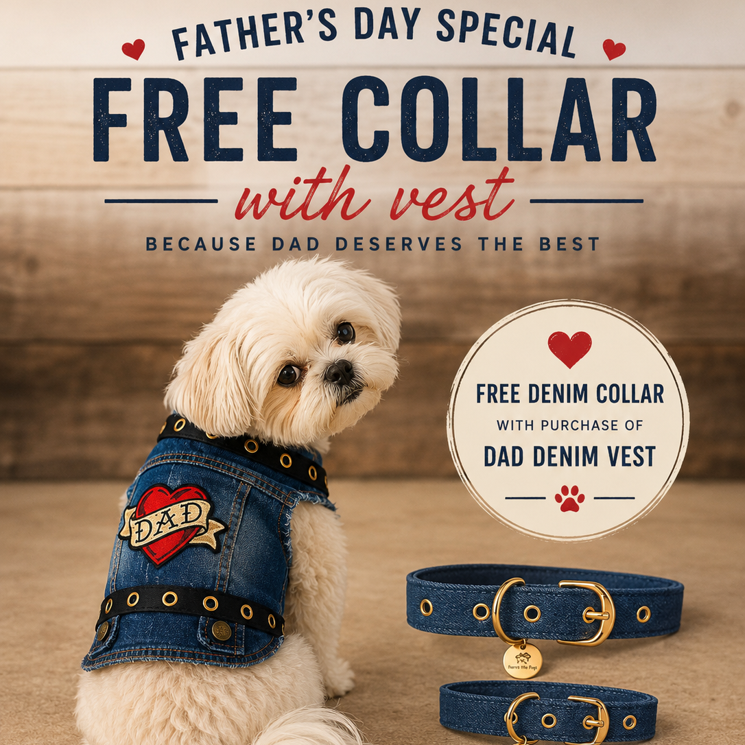 Heads or Tails Pup Love Mom Love Dad Denim Dog Vest