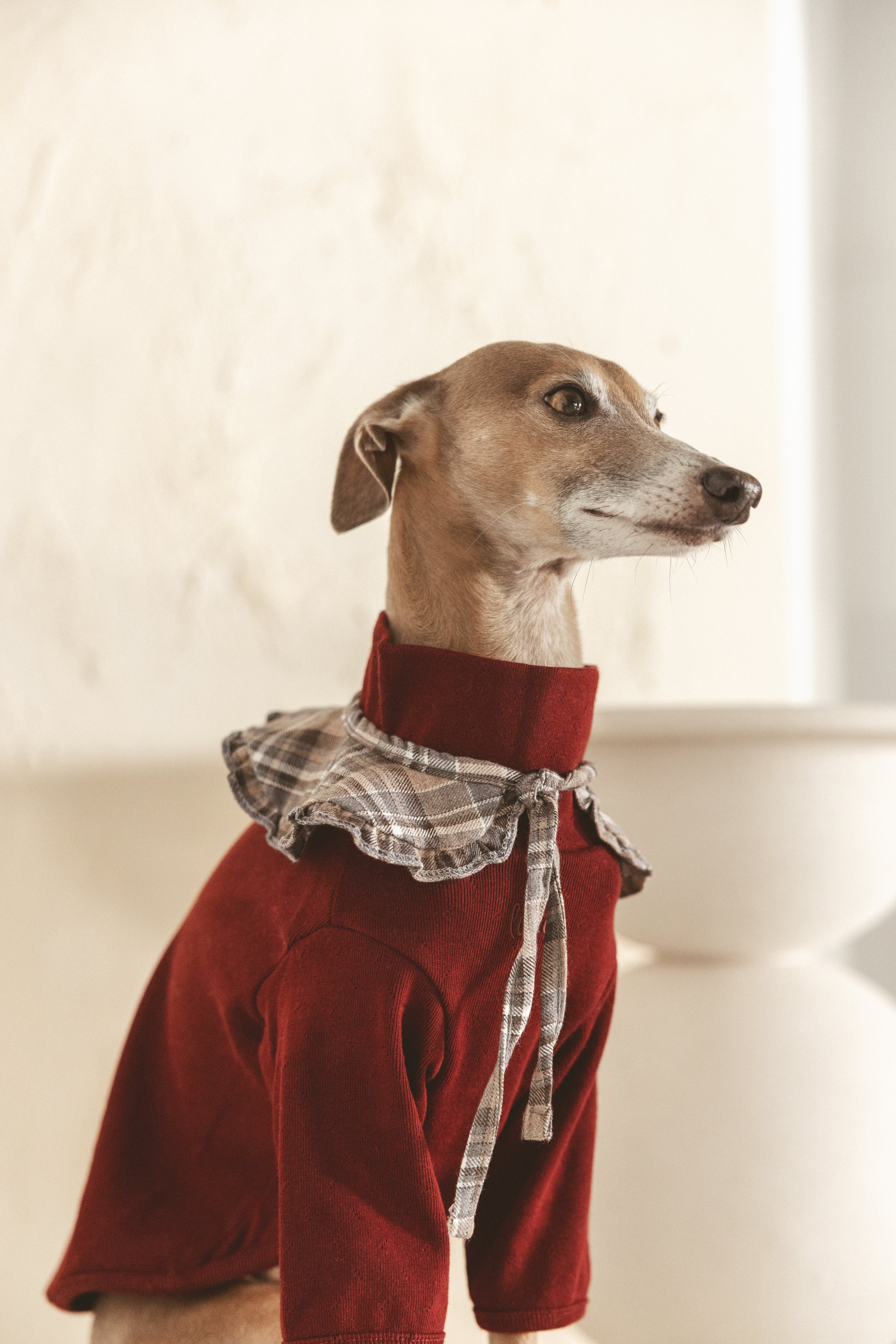 The Heirloom Turtleneck