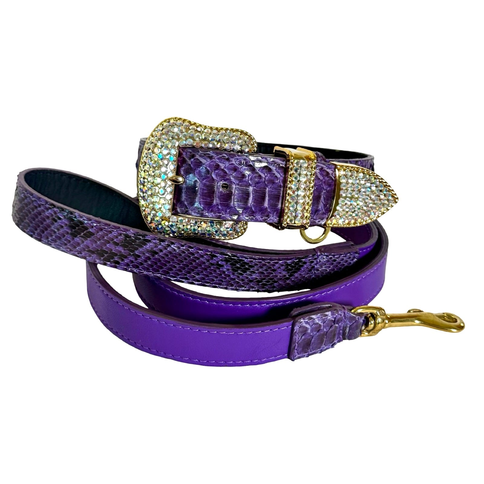 Allysa Payne Amethyst Royale Python Set Dog Collar