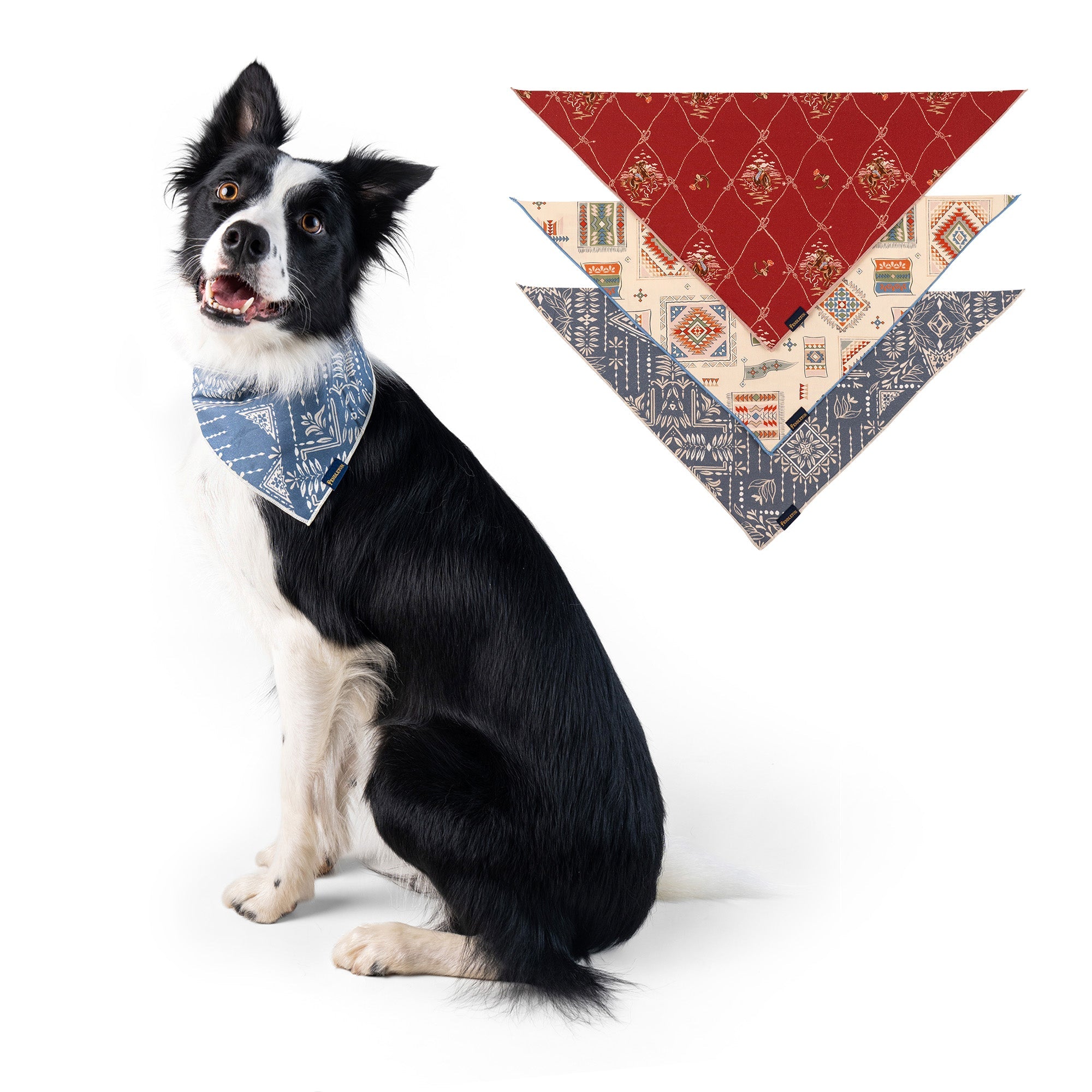Pendleton Pet Bandana Multipack