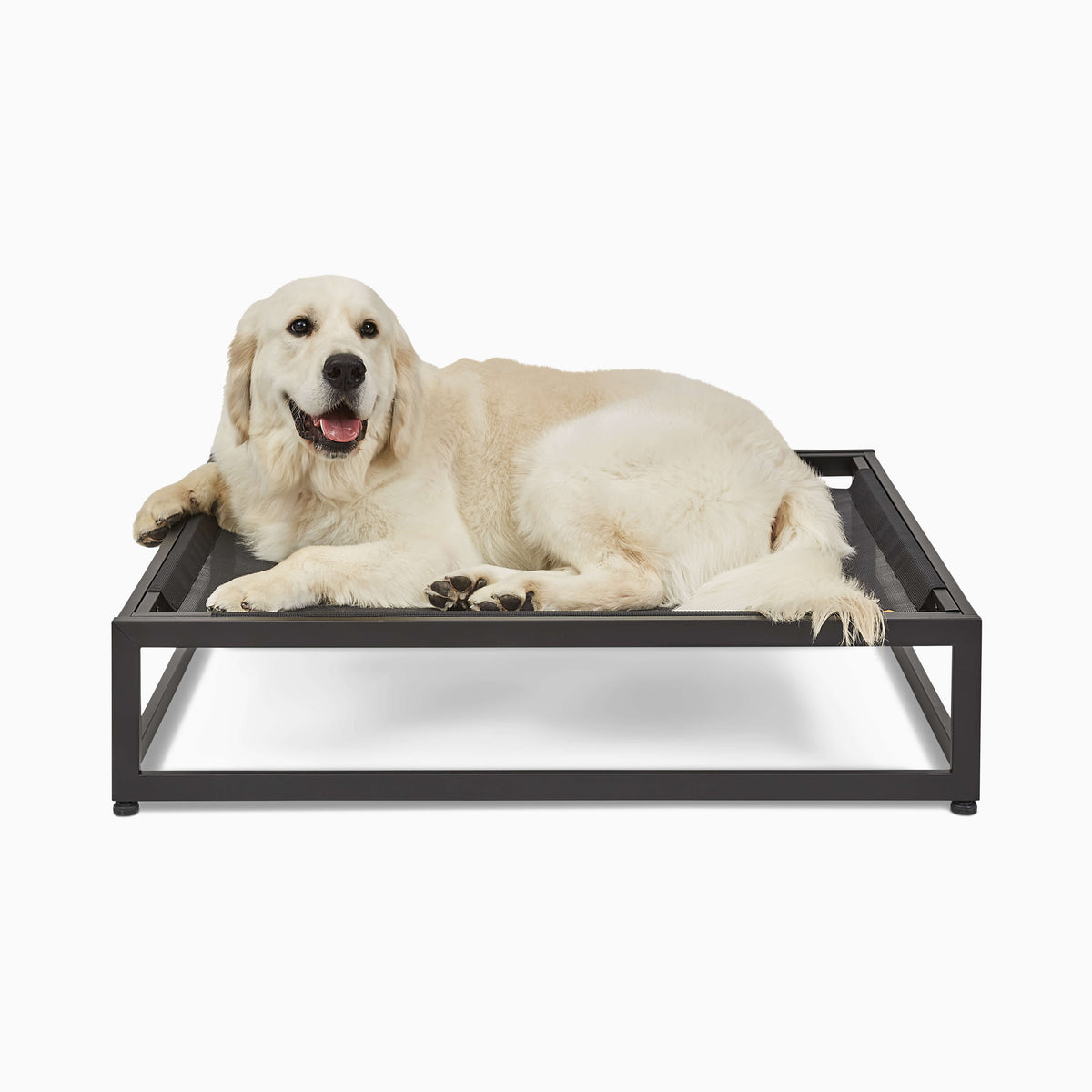 The Up Pup Cot