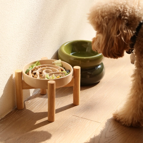 [Spark] Slow Feeder Dog Bowls - Red / Green / Blue