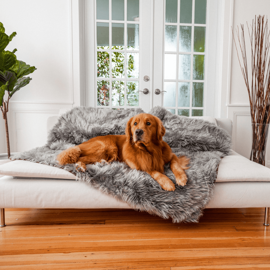 PupProtector Waterproof Throw Blanket Charcoal Grey 