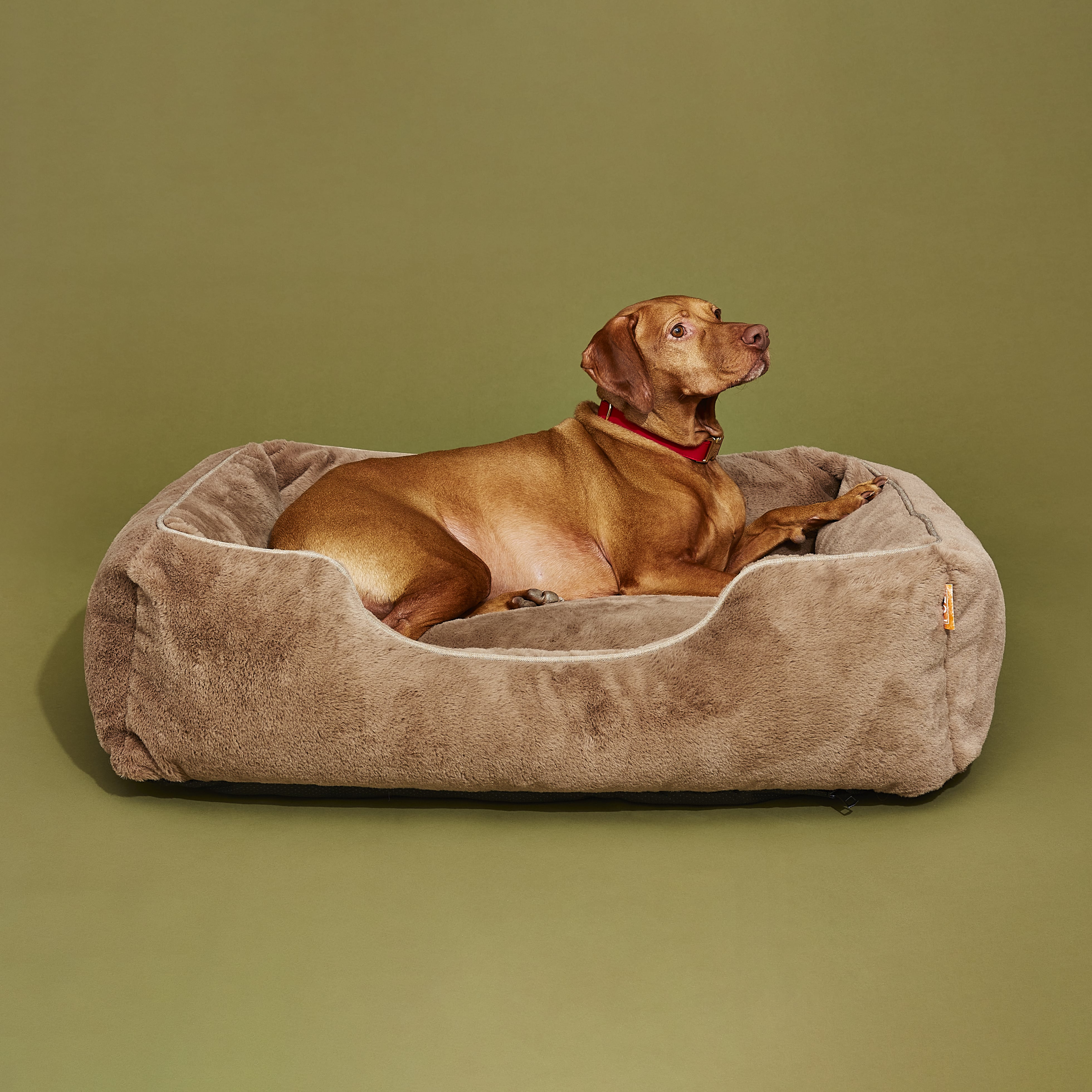The Sammy Dog Bed