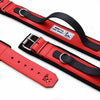Bestia Dog Gear Stainless Steel Dog Collar - Red